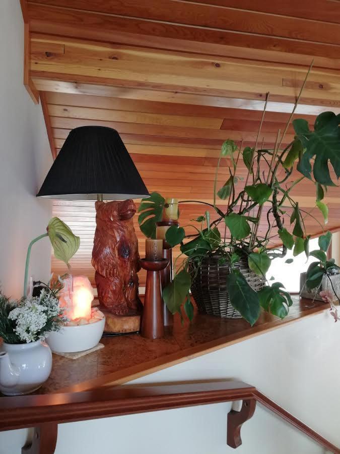 High Hopes Bed And Breakfast Eksteriør bilde